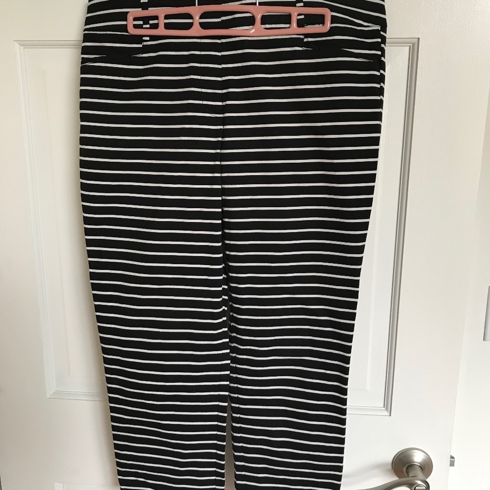 New York & company capri